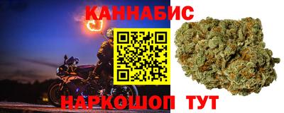 jwh Гатчина