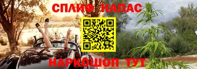 гашик Гай