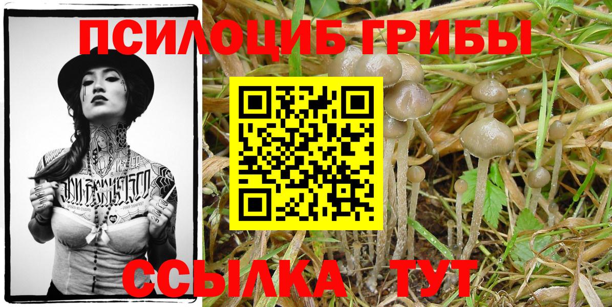 Семёнов  Псилоцибиновые грибы мицелий  Галлюциногенные грибы ЛСД  Вход с VPN 